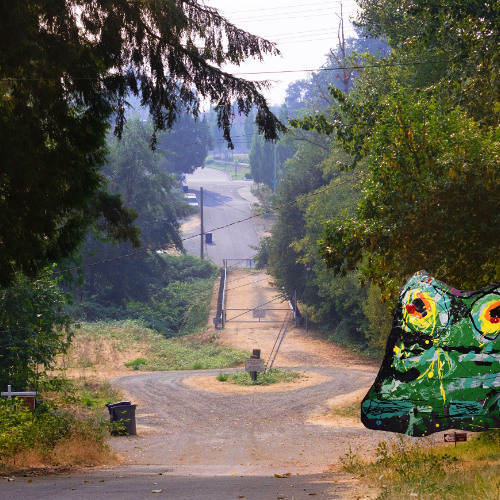 Wandering into the unknown - with 26 teeth