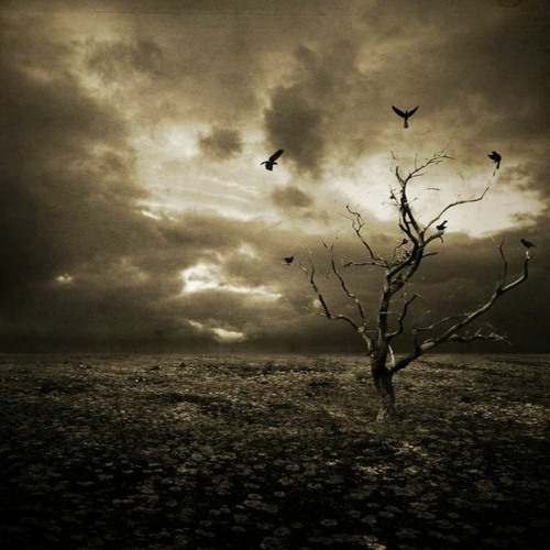 Noisia - Desolation