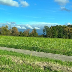 Le temps il m’casse