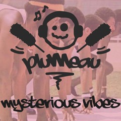 Plumeau - Mysterious vibes