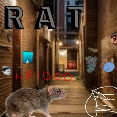 rat battle