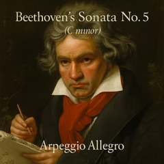 Allegro molto e con brio