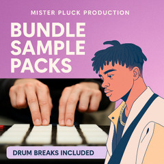 BOOM BAP & DRUM BREAKS (BUNDLE)