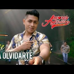 Amores Prohibidos - Tomare Hasta Olvidarte - Audio Oficial 2020