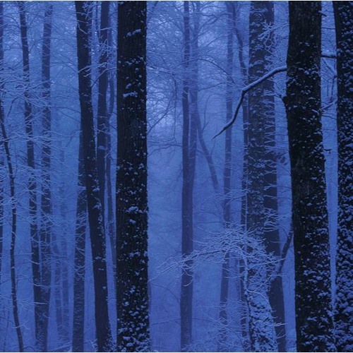 Three Swedish Landscapes - Version 2