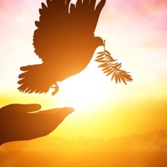 Inner Peace Guided Meditaiton