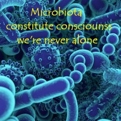 Microbiota (naviarhaiku441)