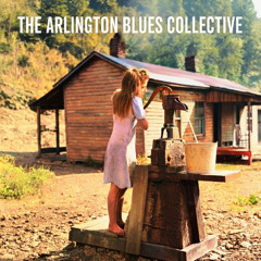 Psychotic Reaction Blues