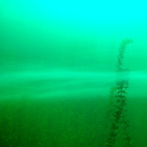 Separated by the Thermocline