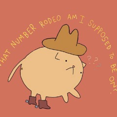 Anthony Zmoda - Which Rodeo Am I On (Original Mix)