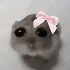 just a girl
