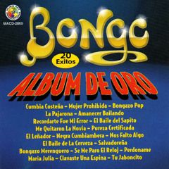 Bongazo Merenguero