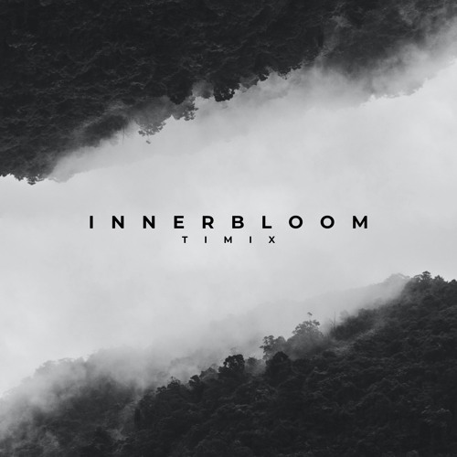 RÜFÜS DU SOL - Innerbloom (Timix Remake) [FREE DOWNLOAD]