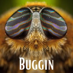 Buggin
