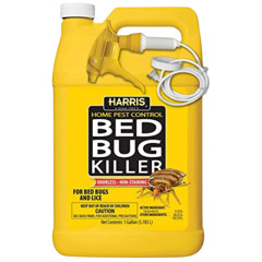 BED BUG ANTHEM