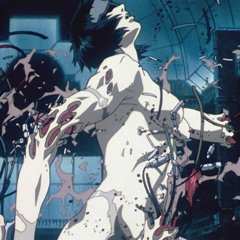 14 In The Shell(throwaway)