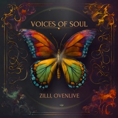 Voices Of Soul - Zilli, Ovenlive
