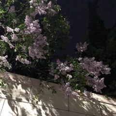 ﴿إِنَّ الَّذينَ يَرمونَ المُحصَنٰتِ الغٰفِلٰتِ المُؤمِنٰتِ لُعِنوا فِى الدُّنيا وَالءاخِرَةِ وَلَهُم عَذابٌ عَظيمٌ﴾