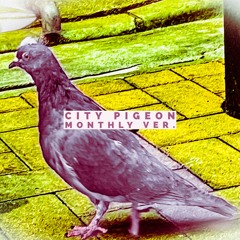 CITY PIGEON -Monthly Ver.