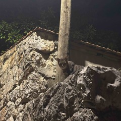 I’ll Drag You Down