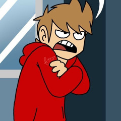 fnf eddsworld ruined- tord matt vs tom