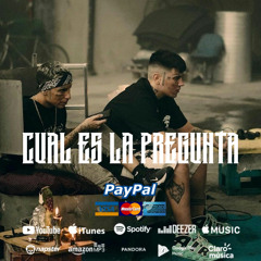 Cual es la pregunta