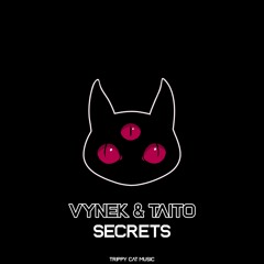 Vynek X Taito - Secrets (Original Mix)