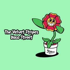 PREMIERE: The Velvet Stripes - Disco Street [Duchesse]