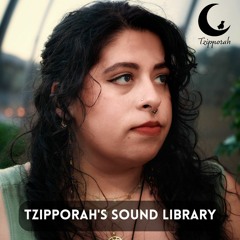 Tzipporah Music - Looper Jam In E Minor