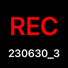 adi-b and brucey ignition demo.wav