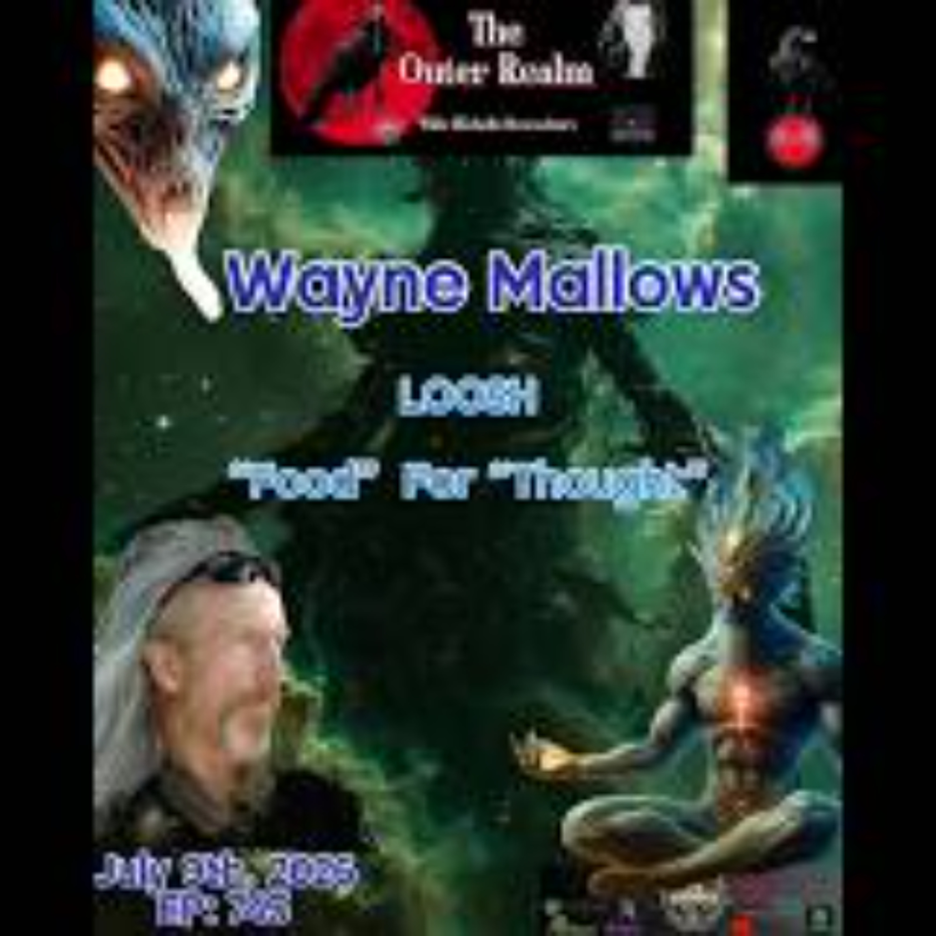 The Outer Realm Open Discussion-LOOSH - _ Food For Thought_ with Wayne Mallows episode artwork