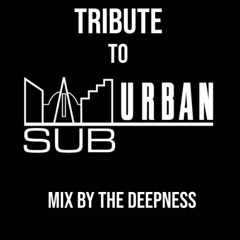 THE DEEPNESS PRESENT TRIBUTE TO SUB-URBAN RECORDS