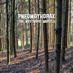 Pneumothorax - The Westwood Whistle