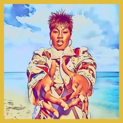 Missy E vs Gyptian - Get Ur Freak On Vs. Hold You (Sun Philips Mashup) [Ft. Da Phonk & Robin]