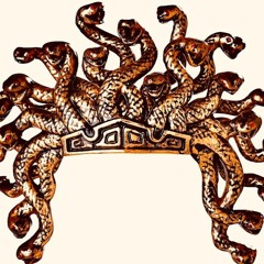 247 Medusa Lane By BLU Watt