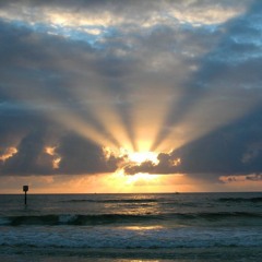 سيأتي الضياء