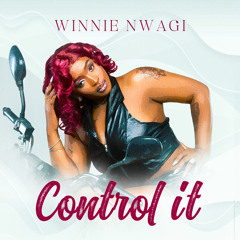 Control It (Instrumental)