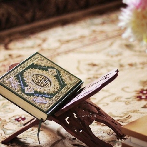 زاد الأتقى 🌱 - محمد كندو