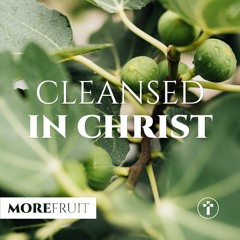 More fruit: Cleansed in Christ | Louis Kotzé