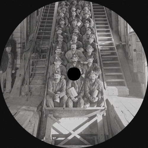 Rookie [FR001]