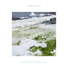 Perylian - Algae Antartica