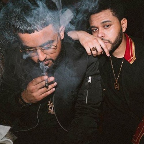 nav - fenty (solo)