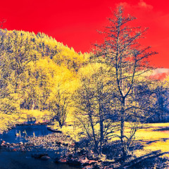 Gold Hills
