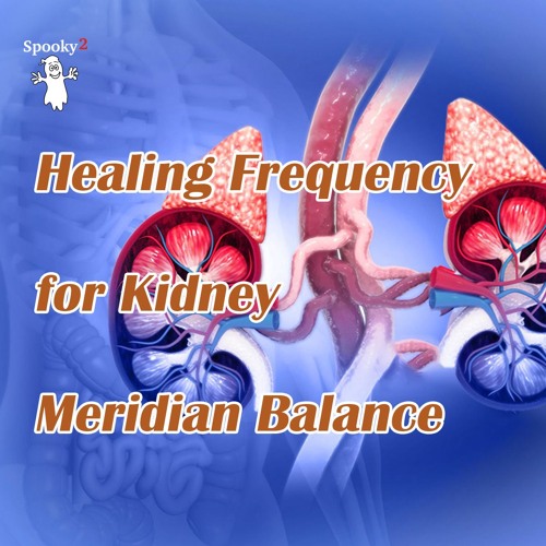 Healing Frequency for Kidney Meridian Balance - Spooky2 Rife Frequencies