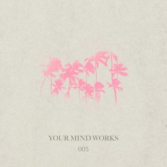 your Mind works - 005