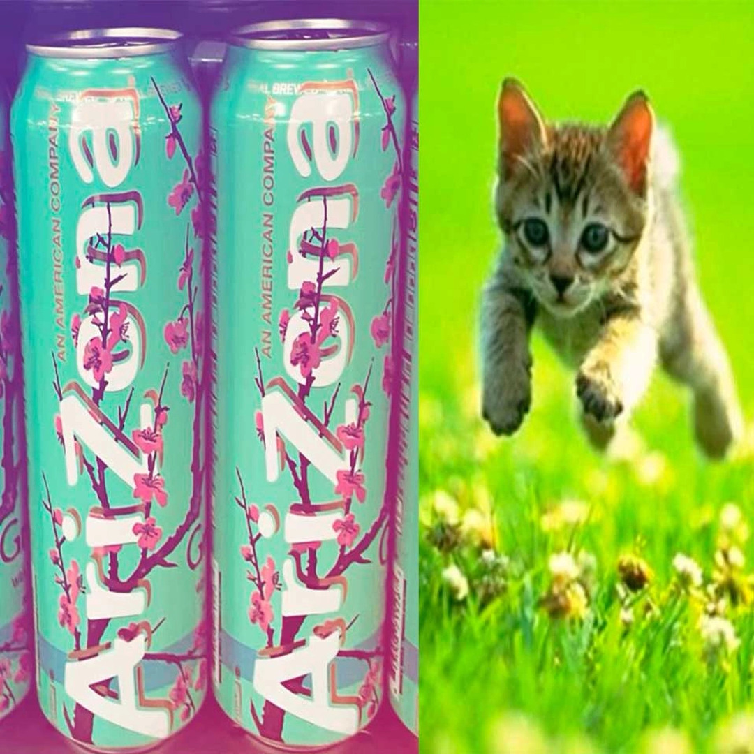 Stream arizona (prod. by yung $ick) by nefor | Listen online for