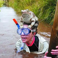 Mergulhando em um pântano sombrio