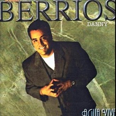 Danny berrios - la alegria del señor