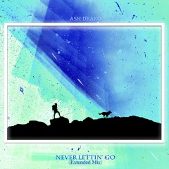 Never Lettin' Go (Extended Mix)