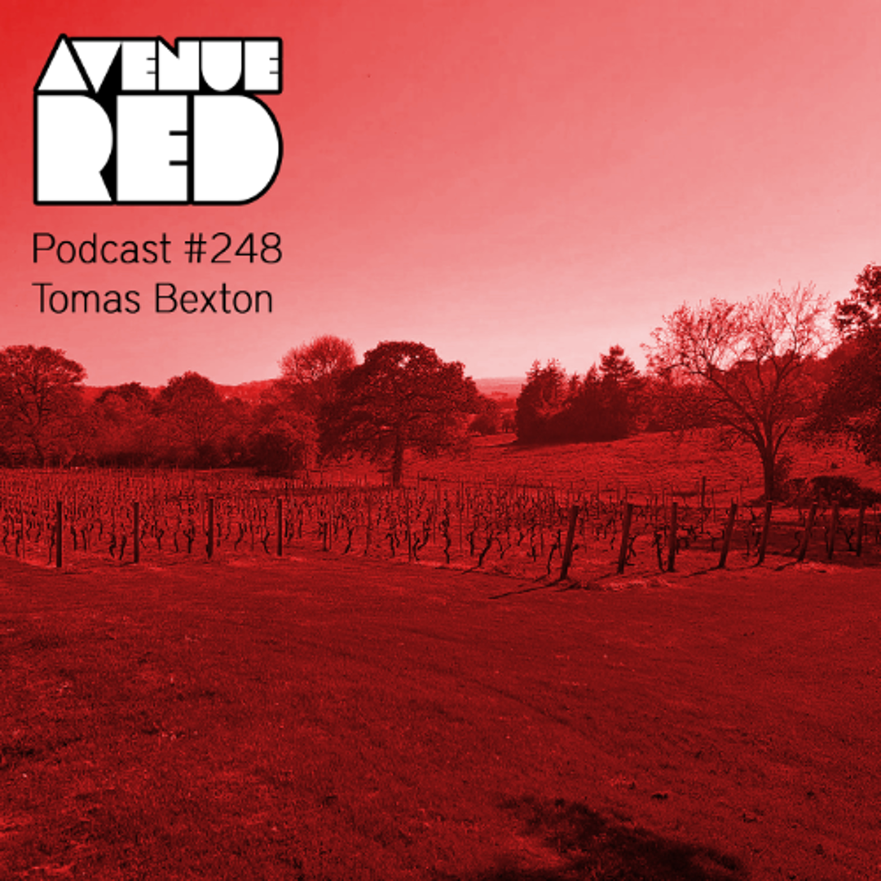 Avenue Red